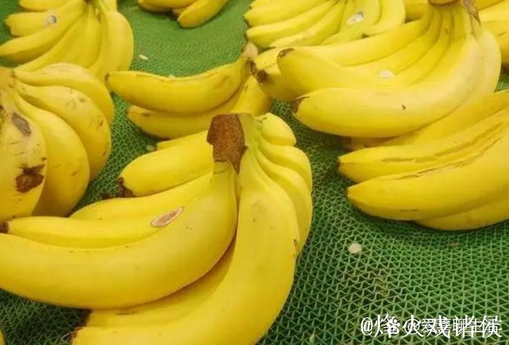 热久久伊人大香蕉在线：追寻真挚情感的浪漫之旅